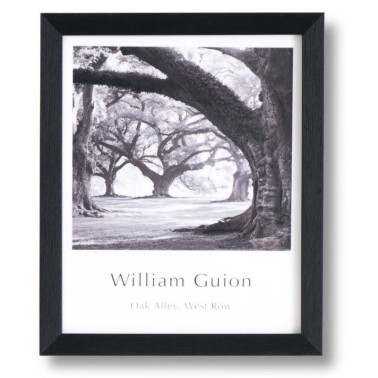 Cuadro moderno Park marco negro 25x30 cm