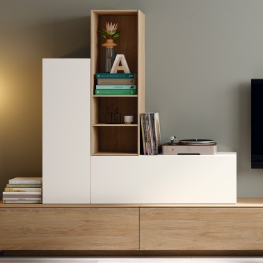 Composición modular mueble de Tv con estantes MED 54