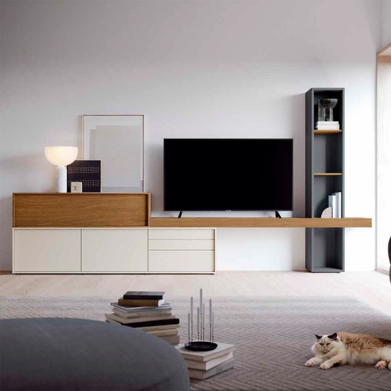 Composicion modular moderna para salon ZOOM 505