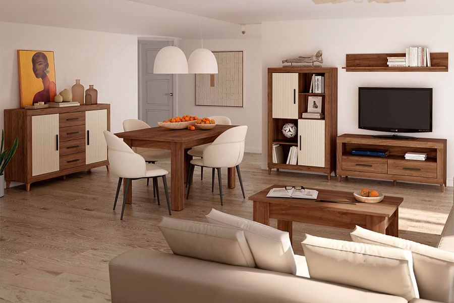 Muebles de salon