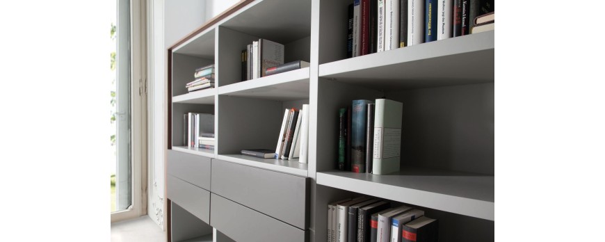 SALONES MODERNOS Y FUNCIONES: PROGAMA MOSS