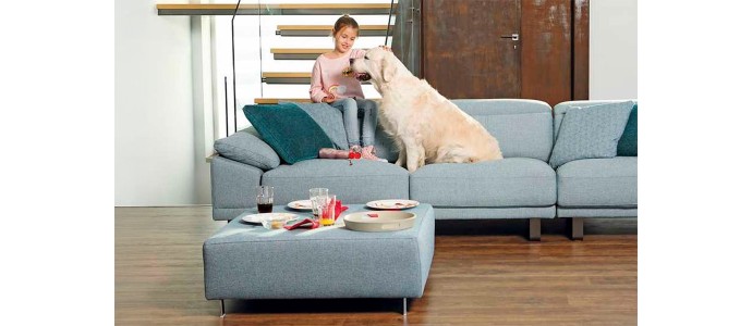 Sofás con telas para mascotas: los mejores tejidos si convives con perros o gatos