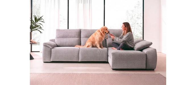 Cómo quitar pelos de mascota de un sofá de tela fácilmente: guía práctica y definitiva